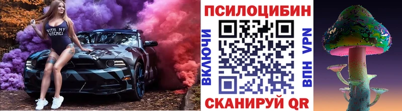 Галлюциногенные грибы Psilocybe  Очёр 